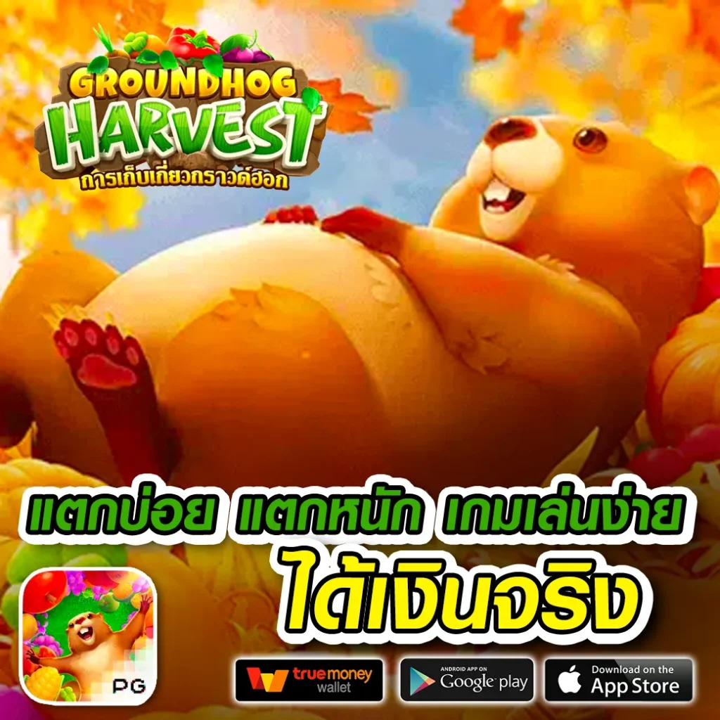 bet-kick ทำเงินง่าย